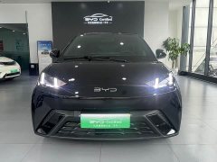 BYD 305km Edition - ფოტო 2