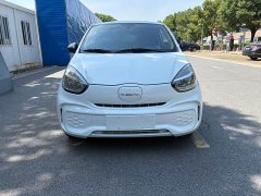 BYD CLEVER 311km Edition - ფოტო 2