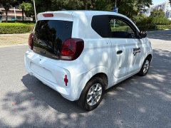 BYD CLEVER 311km Edition - ფოტო 9