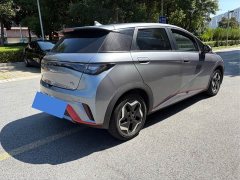 BYD 420km Fashion Edition - ფოტო 10