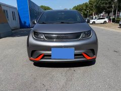 BYD 420km Fashion Edition - ფოტო 2