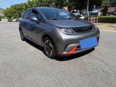 BYD 420km Fashion Edition - ფოტო 3