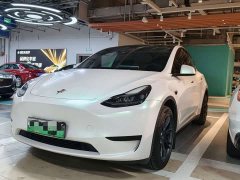 Tesla Model Y Edition - ფოტო 1