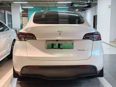 Tesla Model Y Edition - ფოტო 15