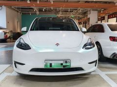 Tesla Model Y Edition - ფოტო 2
