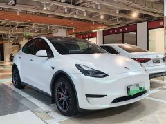 Tesla Model Y Edition - ფოტო 3