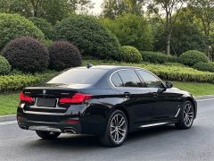 BMW 5 525Li M - ფოტო 9