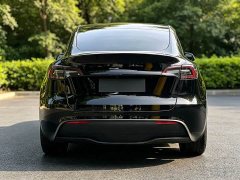 Tesla Model Y Edition - ფოტო 13