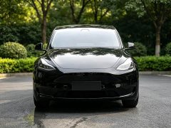 Tesla Model Y Edition - ფოტო 2