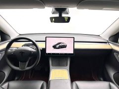 Tesla Model Y Edition - ფოტო 9