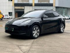 Tesla Model Y Edition - ფოტო 1
