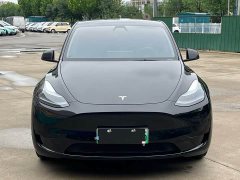 Tesla Model Y Edition - ფოტო 2