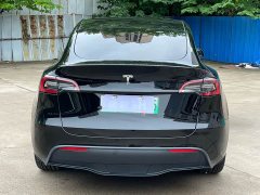 Tesla Model Y Edition - ფოტო 5