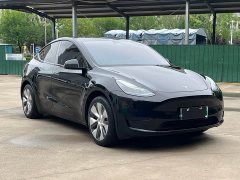 Tesla Model Y Edition - ფოტო 8