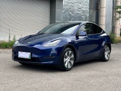 Tesla Model Y Standard Range Edition - ფოტო 1