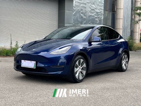 2021 Tesla Model Y Standard Range Edition - ავტომობილი ჩინეთიდან