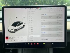 Tesla Model Y Standard Range Edition - ფოტო 11