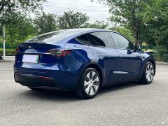 Tesla Model Y Standard Range Edition - ფოტო 6