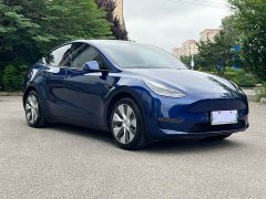 Tesla Model Y Standard Range Edition - ფოტო 8