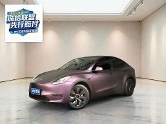 Tesla Model Y Edition - ფოტო 1