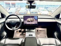 Tesla Model Y Edition - ფოტო 12