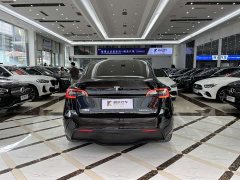Tesla Model Y Edition - ფოტო 14