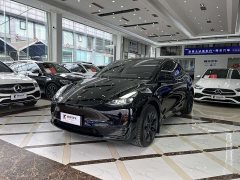 Tesla Model Y Edition - ფოტო 2