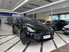 Tesla Model Y Edition - ფოტო 4