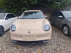 Ora 400kmStandard Range Edition - ფოტო 2