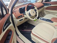 Ora 400kmStandard Range Edition - ფოტო 7