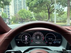 Porsche Panamera 2.9T - ფოტო 20