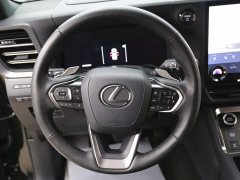 Lexus GX Edition - ფოტო 15