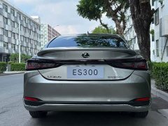 Lexus ES 300h Edition - ფოტო 8