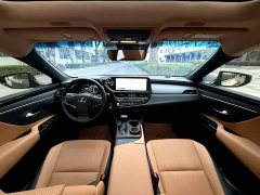 Lexus ES 300h Edition - ფოტო 5