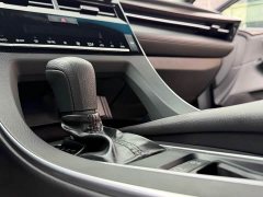 BYD 2.0L Luxury Edition VI - ფოტო 7