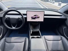 Tesla Model 3 Edition - ფოტო 12