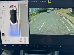 Tesla Model 3 Edition - ფოტო 14
