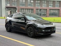 Tesla Model Y Edition - ფოტო 1