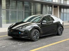 Tesla Model Y Edition - ფოტო 3