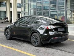 Tesla Model Y Edition - ფოტო 7