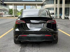Tesla Model Y Edition - ფოტო 8