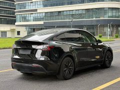 Tesla Model Y Edition - ფოტო 9
