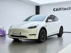 Tesla Model Y Long Range Edition - ფოტო 1