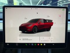 Tesla Model Y Long Range Edition - ფოტო 16