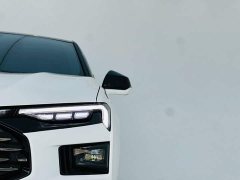 BMW EcoBoost 245 Version - ფოტო 10