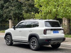 Haval 2.0T DCTAWD Edition - ფოტო 5