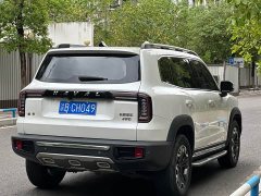 Haval 2.0T DCTAWD Edition - ფოტო 9