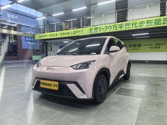 BYD 305km Edition - ფოტო 1