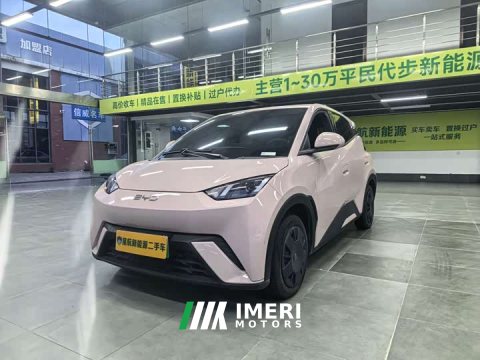 2024 BYD 305km Edition - ავტომობილი ჩინეთიდან