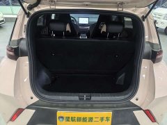 BYD 305km Edition - ფოტო 10